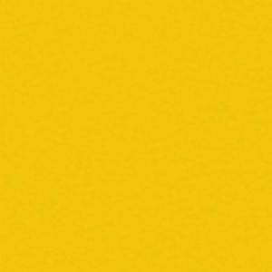 Meet your Posher, Ashanti